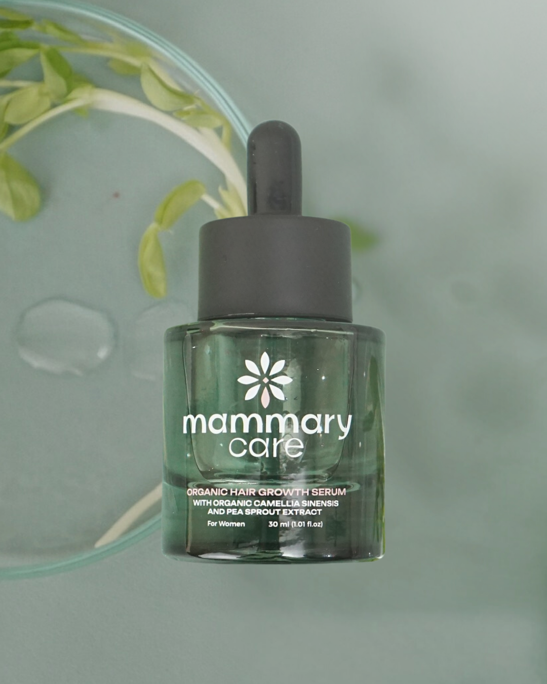 Certified by Nature: Our Commitment to Safe, Organic Hair Care